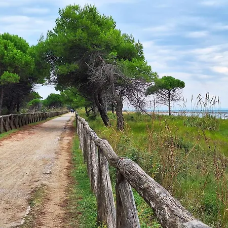 Bright With Terrace-beahost Bibione