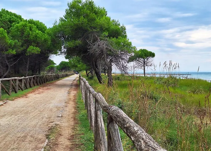 Bright With Terrace-beahost Bibione